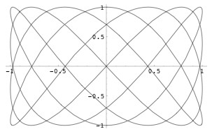 An X-Y coordinate plane funning from -1 to 1 in the x-axis and from -1 to 1 in they y-axis. A closed curve weaves a loose curved mesh over the entire displayed section of the plane. There are large, wide gaps in the mesh.