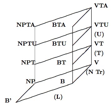 hierarchy of conditional logics