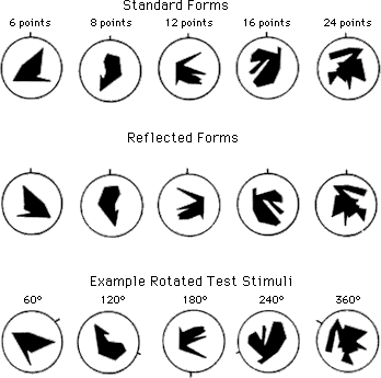 Polygons in standrad, rotated, and reflected forms