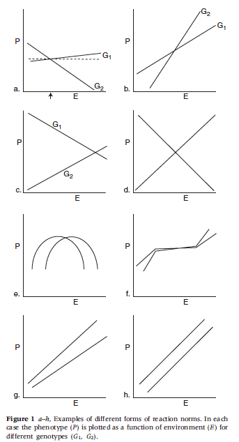 norm of reaction graphs