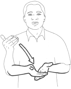 Drawing of a human with the open left hand is at the front lower chest with palm upwards. The open right hand is nearer the right should, palm facing towards the signer. An arrow indicates that the second hand moves down to the front lower chest where it stops when meeting the second hand.