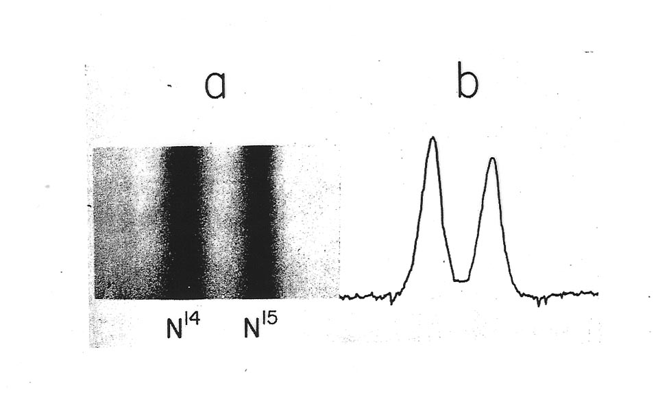 Meselson-Stahl schematic