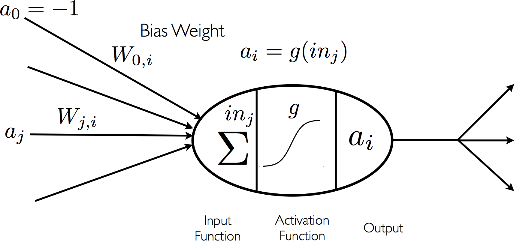 sum of weighted inputs passed to an activation function that generates output