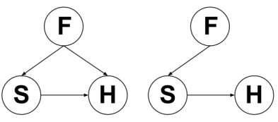 Father causing the Son and the two of the causing the Spirit, or the Father causing the Son and the Father causing the Spirit through the Son