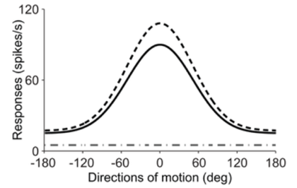 a graph with a y-axis going from 0 to 120 and labeled 'Responses (spikes/s) and a x-axis from -180 to 180 labeled 'Directions of motion (deg)'. There are three lines on the graph: a horizontal dot-dash line almost at the 0 point of the y-axis; a solid line starting about the 15 point of the y-axis rising in a curve to about 90 at the 0 point of the x-axis before symetrically falling back to 15 at the 180 point of the x-axis; a dashed line that starts and and ends at the same points as the solid line but rises higher to about 110 at the 0 point of x-axis.