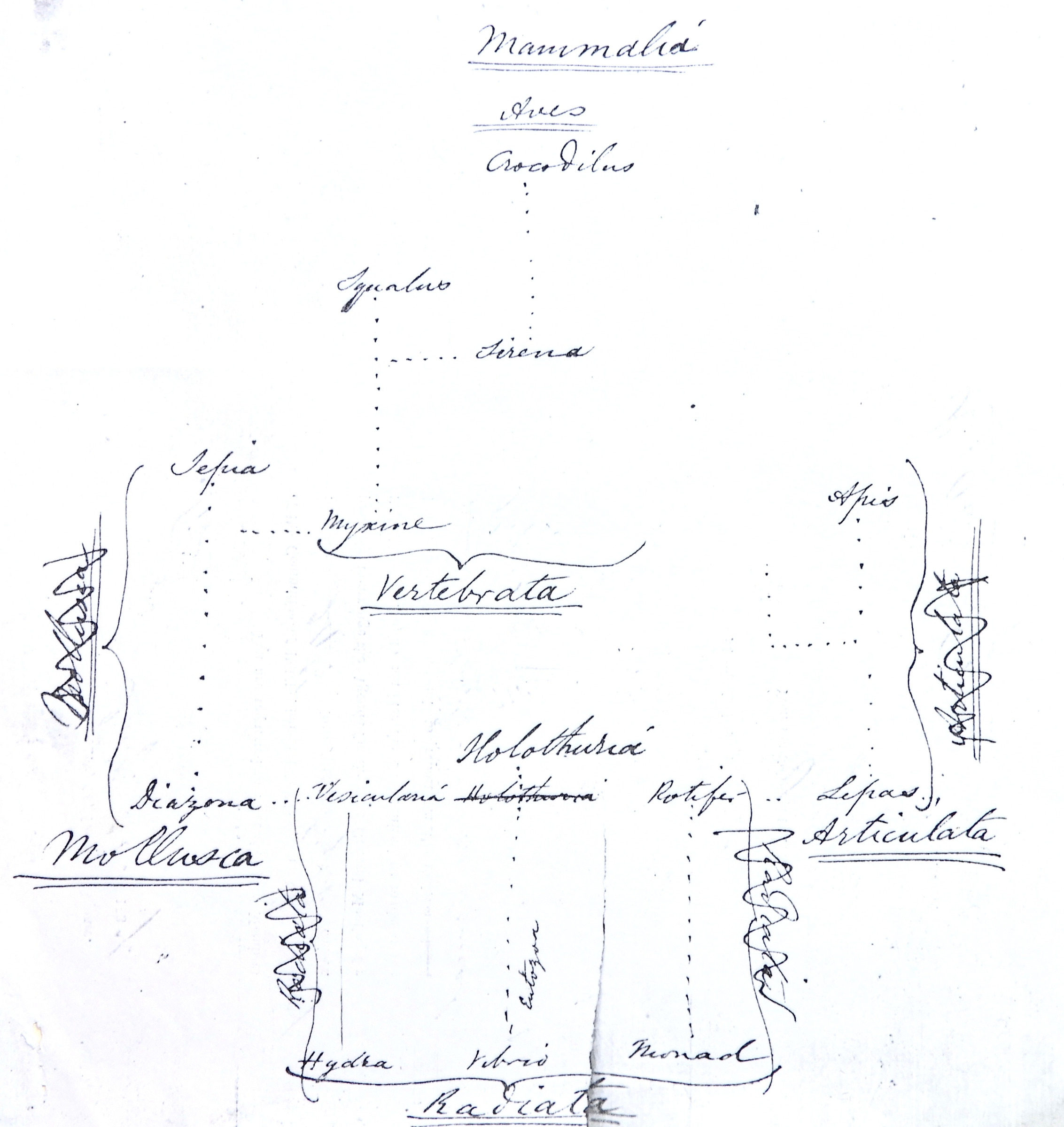 a diagram: link to extended description below