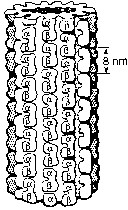 Figure 3b