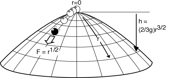 Norton's dome