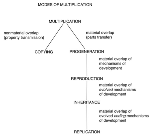 Reproducers