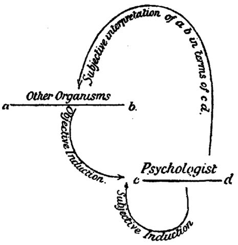 double-induction