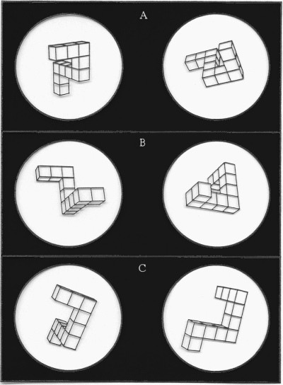 Ten cube assemblages