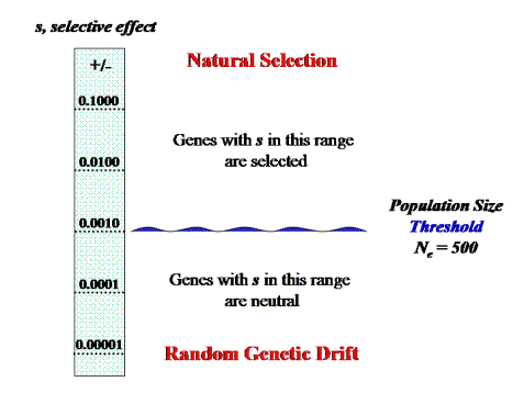 figure1