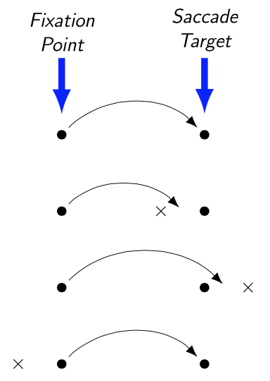 [Two columns of 4 dots each, each pair of dots on the same horizontal. The left column has the words 'Fixation Point' at the top and a blue arrow pointing from those words to the top of the column. The right column has the words 'Saccade Target' and a similar blue arrow. The top (or first) pair of dots has an arrow curving from the left dot to the right dot. The second pair as a 'x' to the left of the right dot and an arrow curving from the left dot to a point between the 'x' and the the right dot. The third pair has a 'x' to the right of the right dot and an arrow curving from the left dot to a point between the right dot and the 'x'. The fourth pair as a 'x' to the left of the left dot and an arrow curving from the left dot to the right dot.]