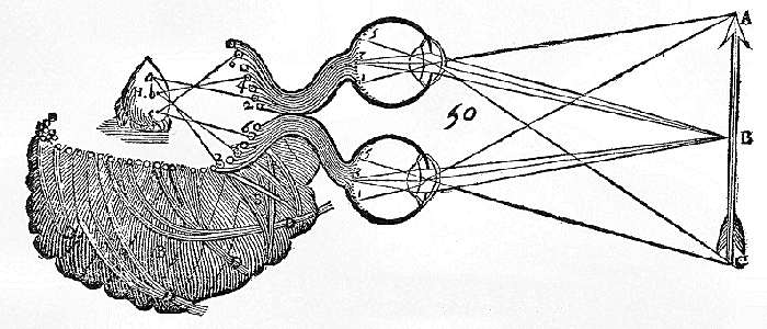 Retinal and Pineal Images in Descartes Treatise of Man