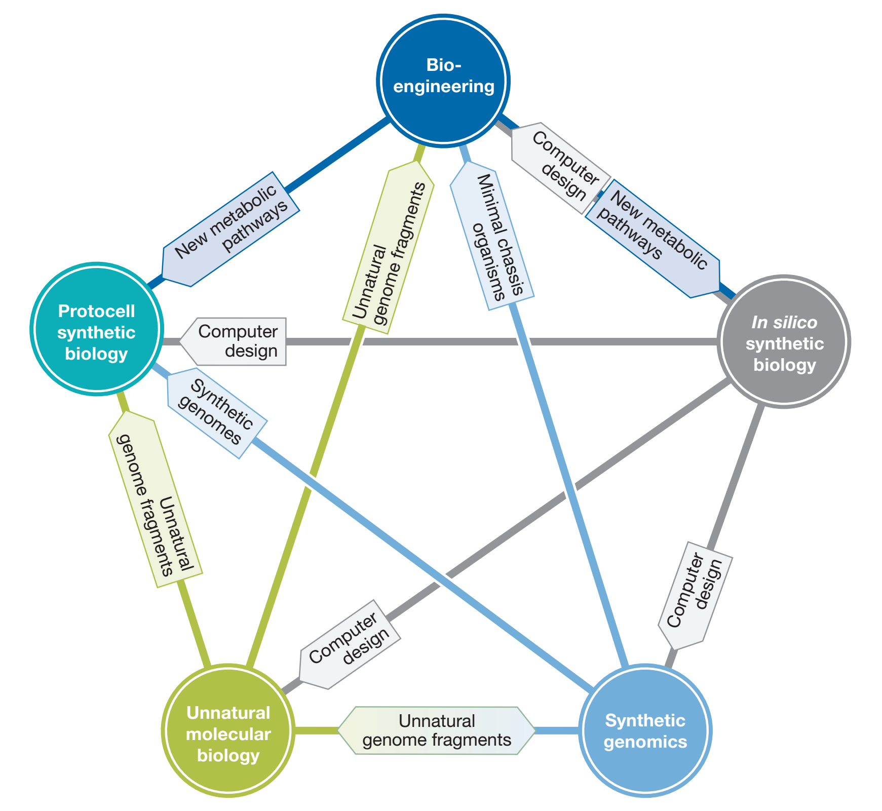 [5 circles arranged in a pentagon each connected to all the others by lines. The circles in clockwise order are labeled 'Bioengineering', 'In silico synthetic biology', 'Synthetic genomics', 'Unnatural molecular biology', and 'Protocell synthetic biology'. The In slico... circle has labeled arrows on all the lines to the others: To all the arrows are labeled 'Computer design' {for Bioengineering there is also a reverse arrow 'New metabolic pathways'}. Bioengineering also has another arrow pointing to Protocell... with the label 'New metabolic pathways'. The Synthetic ... circle has an arrow to Bioengineering labeled 'Minimal chassis organisms' and to Protocell... labeled 'Synthetic genomes'; it has an arrow to and from Unnatural... labeled 'Unnatural genome fragments'. Unnatural has arrows to Bioengineering and Protocell labeled 'Unnatural genome fragments'. ]