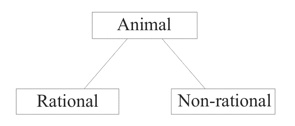 A box labeled 'Animal' has connector lines to two boxes underneath: one labeled 'Rational', the other labeled 'Non-rational'.