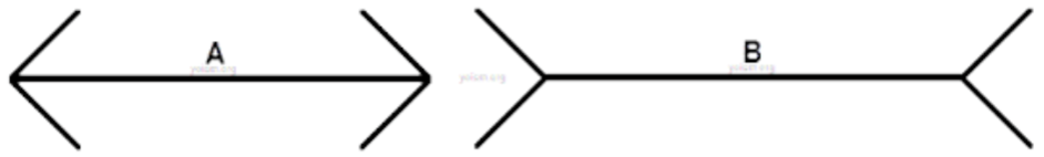 The Mueller-Lyer Illusion is a visual illusion where two lines of the same length appear to be of different lengths. Line A has outward pointing arrows at each end of the line, whereas line B has inward pointing arrows at the end of the line. This has the effect of making line B look longer than line A.