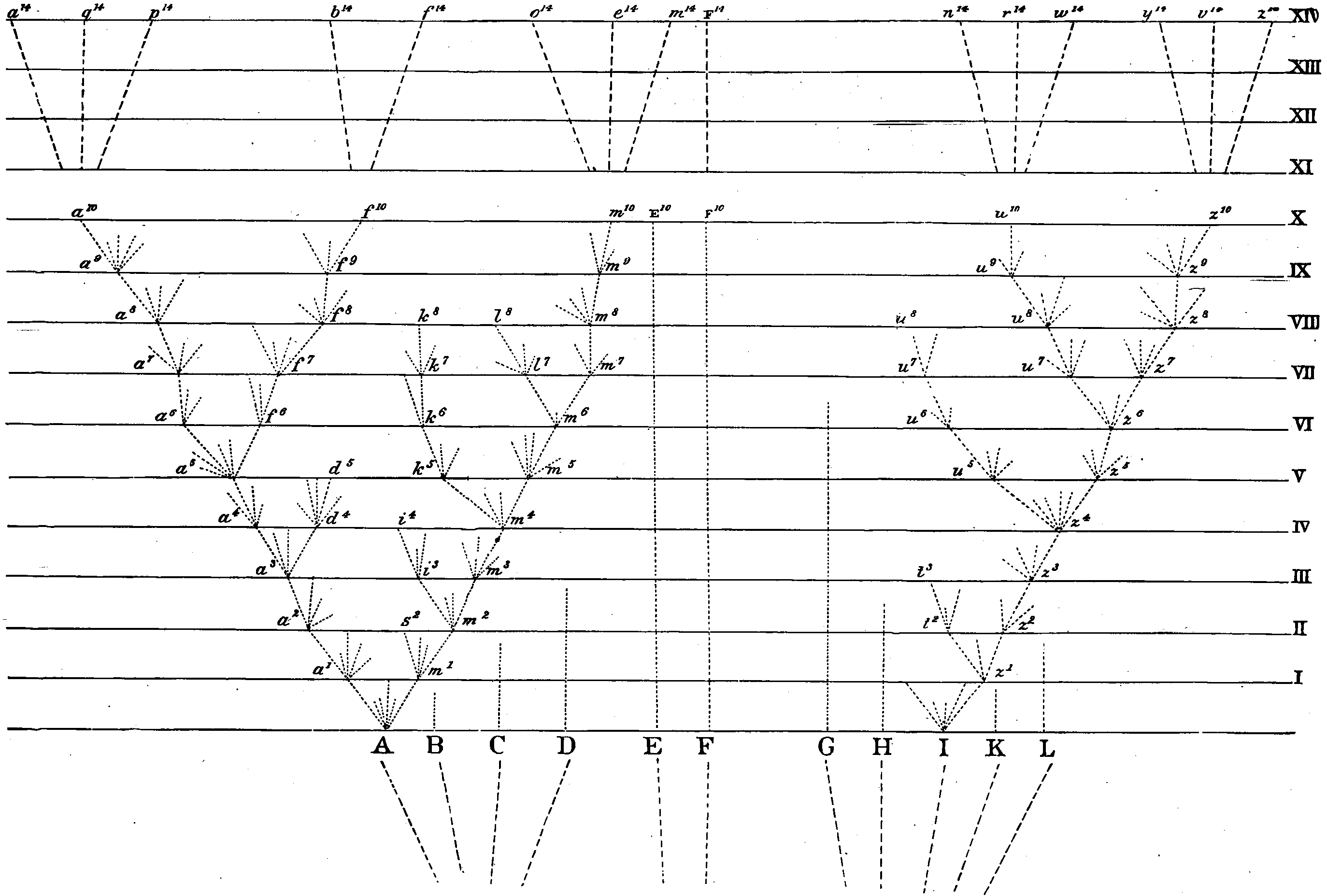 Graph labeled on the horizontal-axis with the letters A to L and on the vertical-axis with Roman numerals I to XIV. From A branch up several dashed lines; all but two stop before reaching vertical-level I; from those two branch up several more dashed lines, some stop before the next vertical-level those that don&rsquo;t sprout up more lines, repeat though in some cases no line from a particular branch reaches the next vertical-level. Further description in the text following.