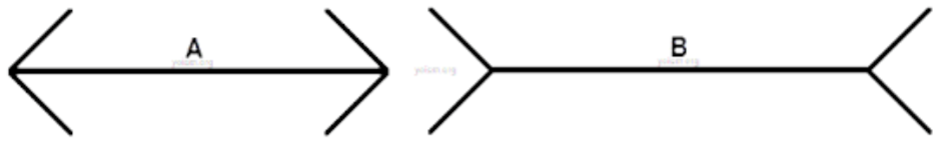 The M&uuml;ller-Lyer Illusion is a visual illusion where two lines of the same length appear to be of different lengths. Line A has outward pointing arrows at each end of the line, whereas line B has inward pointing arrows at the end of the line. This has the effect of making line B look longer than line A.