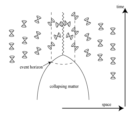 At the bottom there is a large arrow pointing to the right labeled 'space' and on the right edge a large arrow pointing up labeled 'time'. Two curved lines come together in the middle of the figure; the space between the curved lines is labeled 'collapsing matter'. From the point where the curved lines meet, there is a squiggly line that runs up to the top of the figure. 28 small double-cones are arranged across the top half of the figure; at the left and right edges the cones are vertical but the cones closer to the center are more and more tilted towards a squiggly line at the center; a dashed line that surrounds the squiggly line is labeled 'event horizon'.