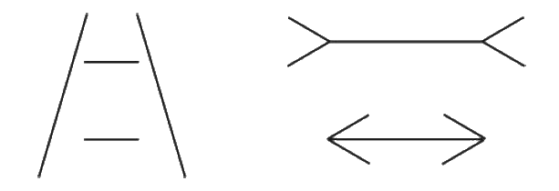 Ponzo and M&uuml;ller-Lyer illusions