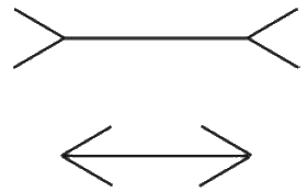 Two horizontal line segments of the same length with arrowheads on the left and right side; the upper line segment has arrowheads pointing inwards, towards the line segment; the lower line segment has arrowheads pointing outwards, away from the line segment.