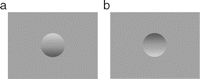 two grey rectangles with circles, one appears convex to most people and the other concave