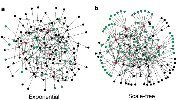 [subfigre a labeled 'Exponential' and subfigure b labeled 'Scale-free']