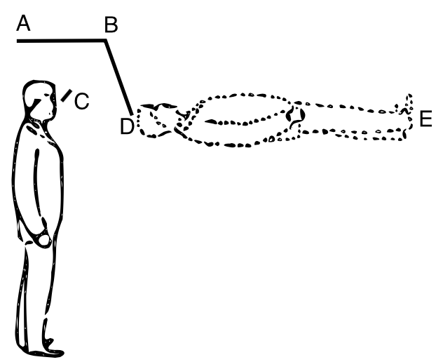 [a line drawing of a man standing and looking up at about a 45 degree angle. Above him is a horizontal line labeled at the left end 'A' and right end 'B'. A second line goes from the 'B' end at about a -60 degree angle to point approximately horizontal to the man's neck that point is labeled 'D'. To the right of D is the dotted line drawing of a horizontal man, head closest to D; feet labeled 'E'. Fromt the first man's eyes is a short line, labeled 'C', going up at about a 45 degree angle approximately in the direction of the point labeled 'B'.]
