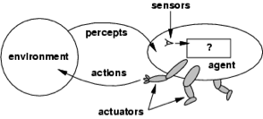 agent with sensors and actuators receiving percepts and performing actions