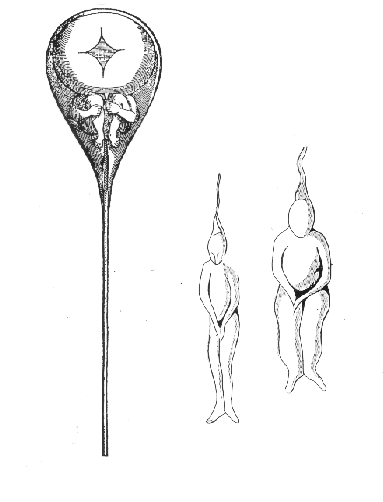[three drawings, the first is like a balloon with a scrunched up human inside and a string hanging down, the second of a dangling human figure and the third of a somewhat larger dangling human figure.]