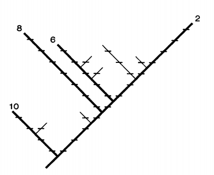 a diagram with a diagonal line going from bottom left to upper right, labeled at the end with '2'. Along the line are 12 evenly placed tic marks. From this line and going to the left are 6 perpendicular lines, each also with evenly placed tic marks. The first, before the first tic mark on the main line, has 4 tic marks and is labeled '10'; between its second and third tic mars is another perpendicular line going to the right with one tic mark. The second, between the third and fourth tic marks on the main line, has only one tic mark. The third, between the fourth and fifth tic marks, has 7 tic marks and is labeled '8'. The fourth, between the fifth and sixth tic marks of the main line, has 5 tic marks and is labeled '6'. On it are two perpendicular lines with one tic mark each going to the right between the second and third and third and fourth tic marks. The fifth line, between the seventh and eighth tic marks on the main line, has 3 tic marks. The last line, between the eighth and ninth tic marks on the main line, has 1 tic mark. 
