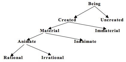 Kant Chart