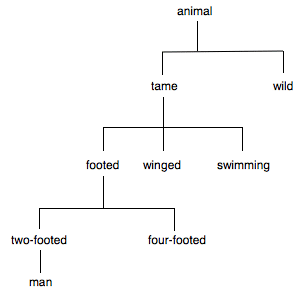 a diagram of the form (animal (tame (footed (two-footed (man) four-footed) winged swimming) wild))